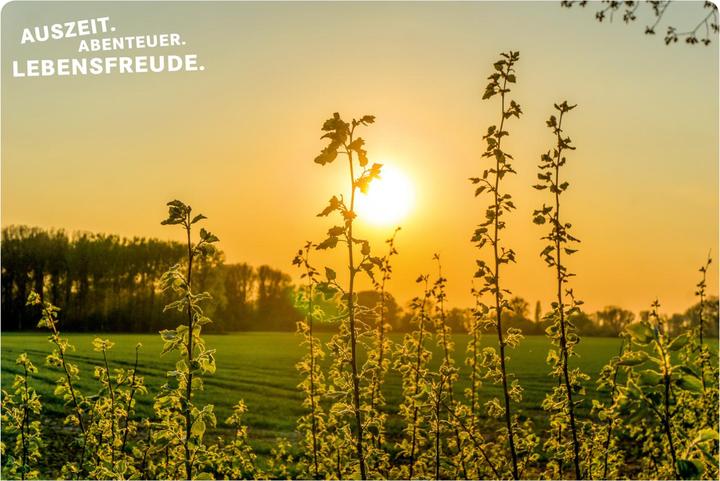 Produktbild 52 kleine & grosse Eskapaden in und um Düsseldorf (Deutsch, Jessica Niedergesäss, 2021)