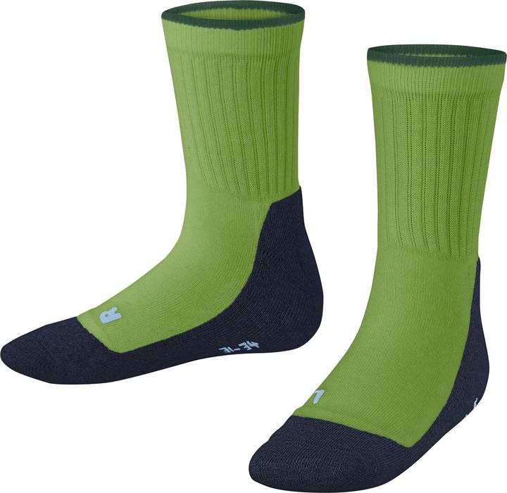 Actual product image Falke Active Everyday SO (27 - 30)