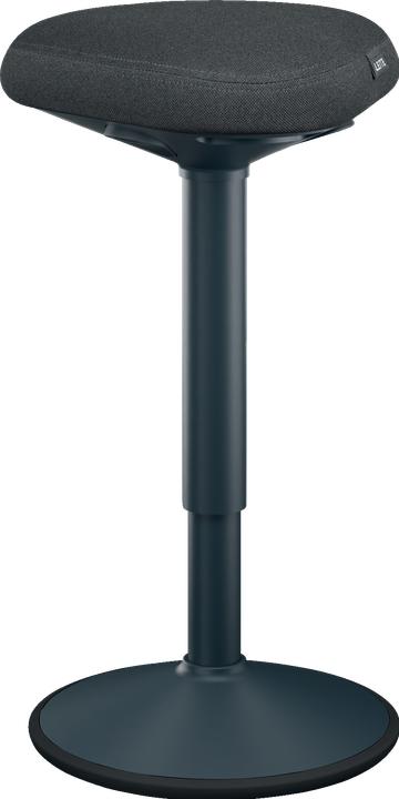 Actual product image Leitz Ergo Active