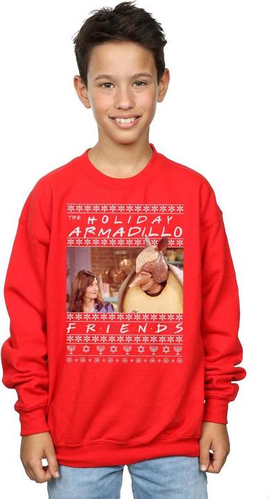 Produktbild Friends Fair Isle Holiday Armadillo Sweatshirt Jungen (128)