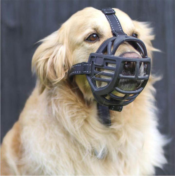 Actual product image Freedog Muzzle Ergo Plus XL (XL, Dog)