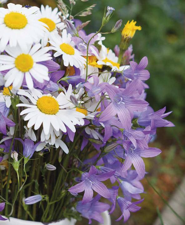 Immagine prodotto Einfach natürlich (Tedesco, Doris Kern, 2023)