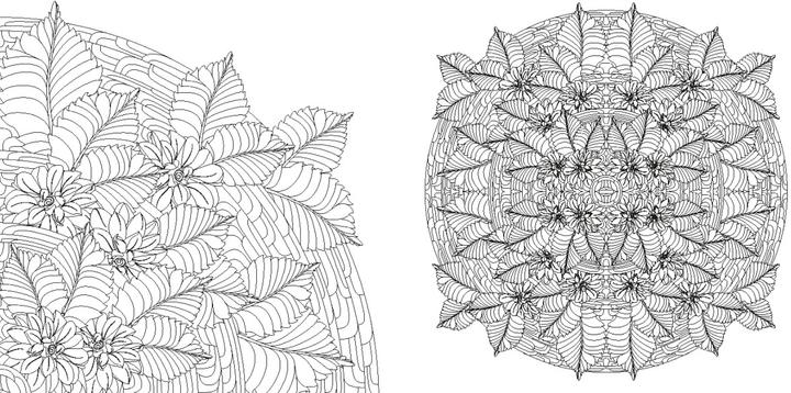 Produktbild Blumen-Mandalas (Ausmalbuch zur kreativen Stressbewältigung)