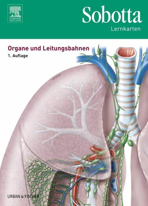 Sobotta:Sobotta Lernkarten. Organe und (German, Lars brewer, 2016)