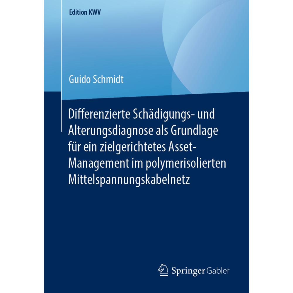 Differenzierte Schädigungs- und Alterungsdiagnose als Grundlage für ein zielgerichtetes Asset-Manage, Fachbücher von Gui...