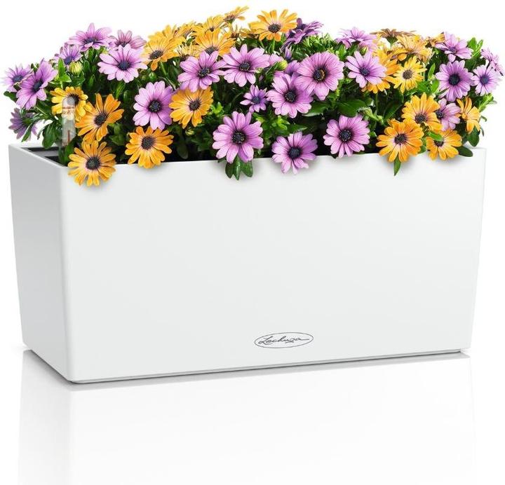 Productafbeelding Lechuza BALCONERA Color 40 (40 x 19 x 19 cm)