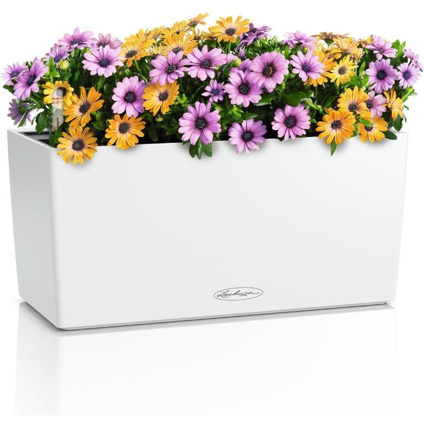 Lechuza, Vaso da fiori, BALCONERA Color 40 (40 x 19 x 19 cm)