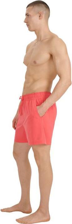 Image du produit 4F Herren-Badeshorts (M)