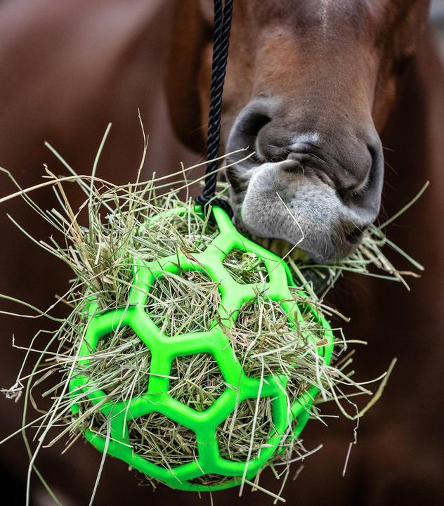 Waldhausen Hay ball