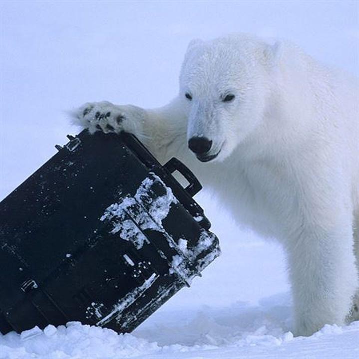 Actual product image Explorer Cases 9433 Case Black with Foam (108 l)