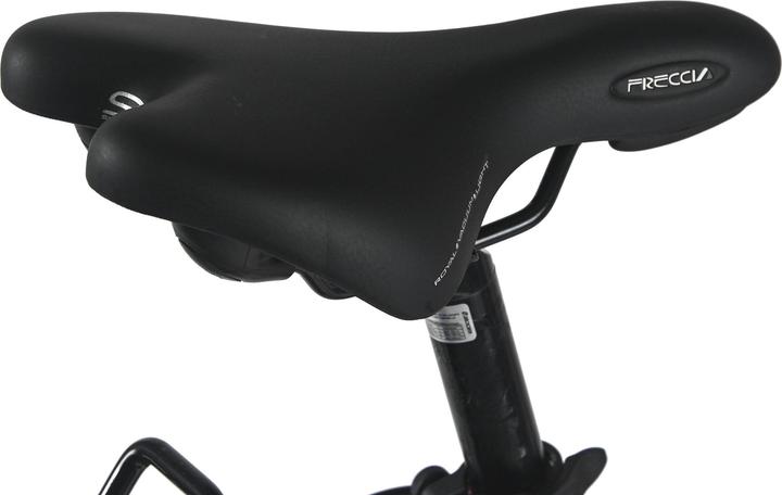 Produktbild Damenrad 28" Padova 7 Gänge RH 48 cm (48 cm)