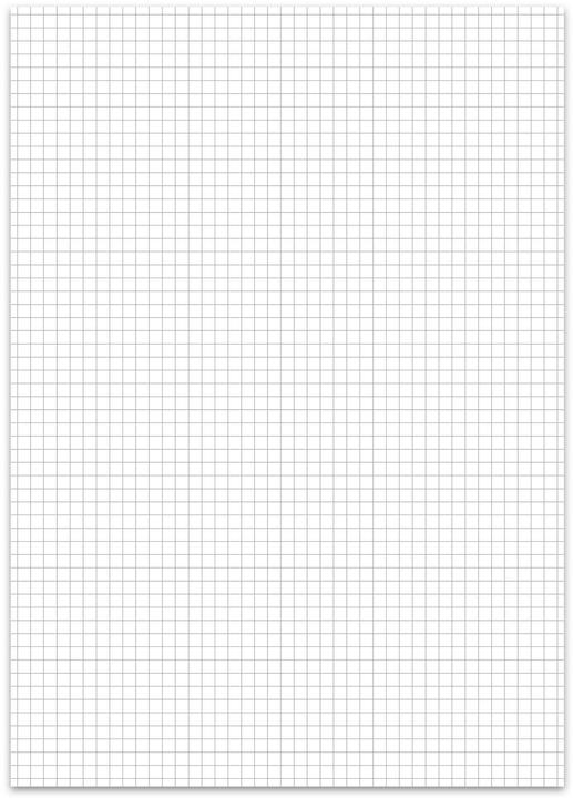 Actual product image Ursus Business book 2921B96K 608360 DIN A4 96 sheets 80g squared (A4, Checked)