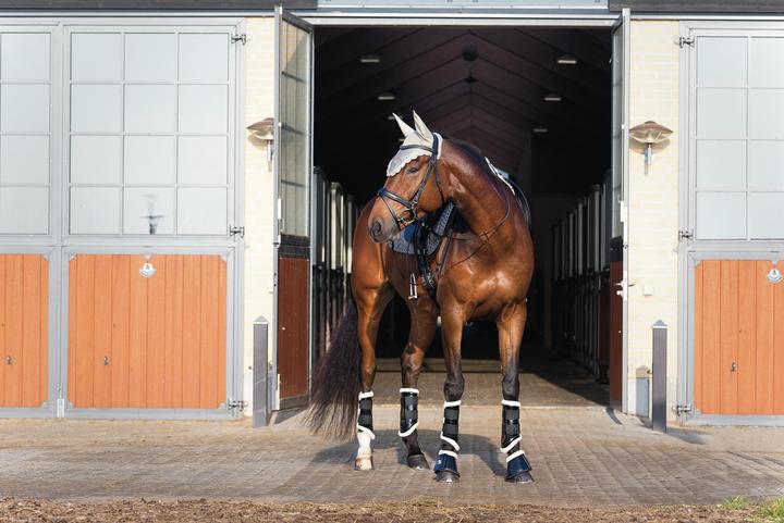 Produktbild Horse Guard Fillis