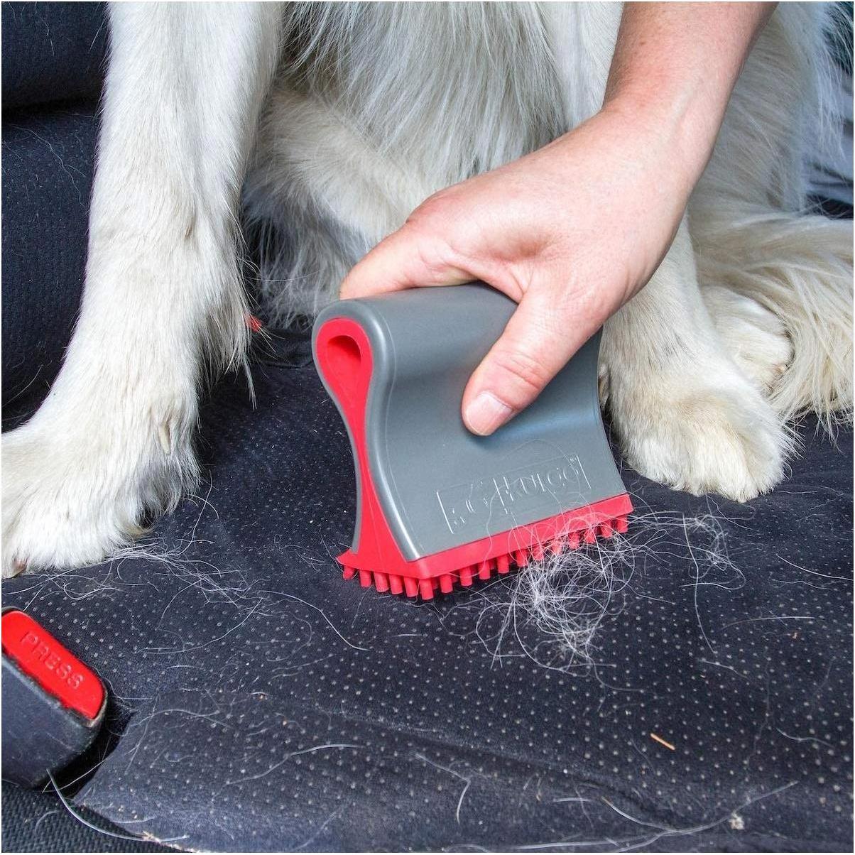 Thumbnail - Kurgo Shed Sweeper - Hundehaarentferner (Hund), Tierpflegemittel