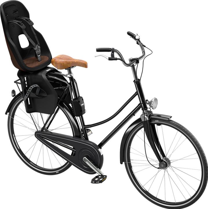 Actual product image Thule Yepp Nexxt 2 Maxi FM (Luggage carrier (rear), Seat tube)
