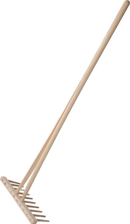 Freund Victoria MINI hay rake 66670