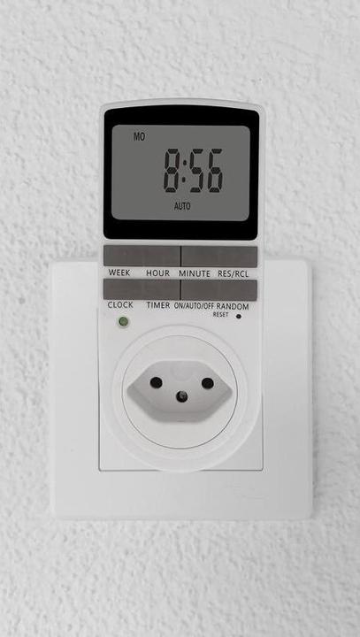 Actual product image Steffen Timer (Type 12)