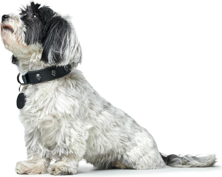 Produktbild Hunter Halsband Tijuana (Hund)