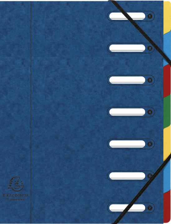 Actual product image Exacompta HARMONIKA - A4 file folders (A4, 1x)