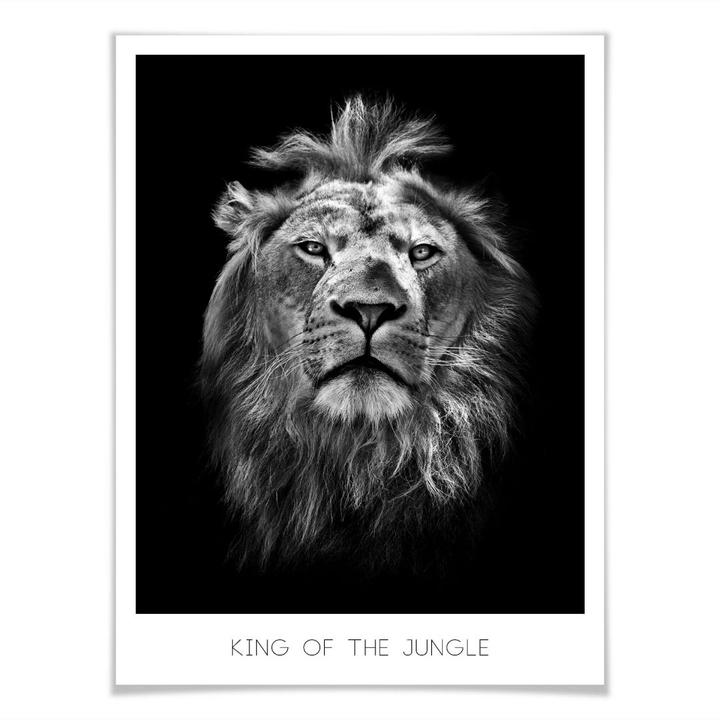 Produktbild Trenddeko Lion - King of the Jungle (40 x 50 cm)