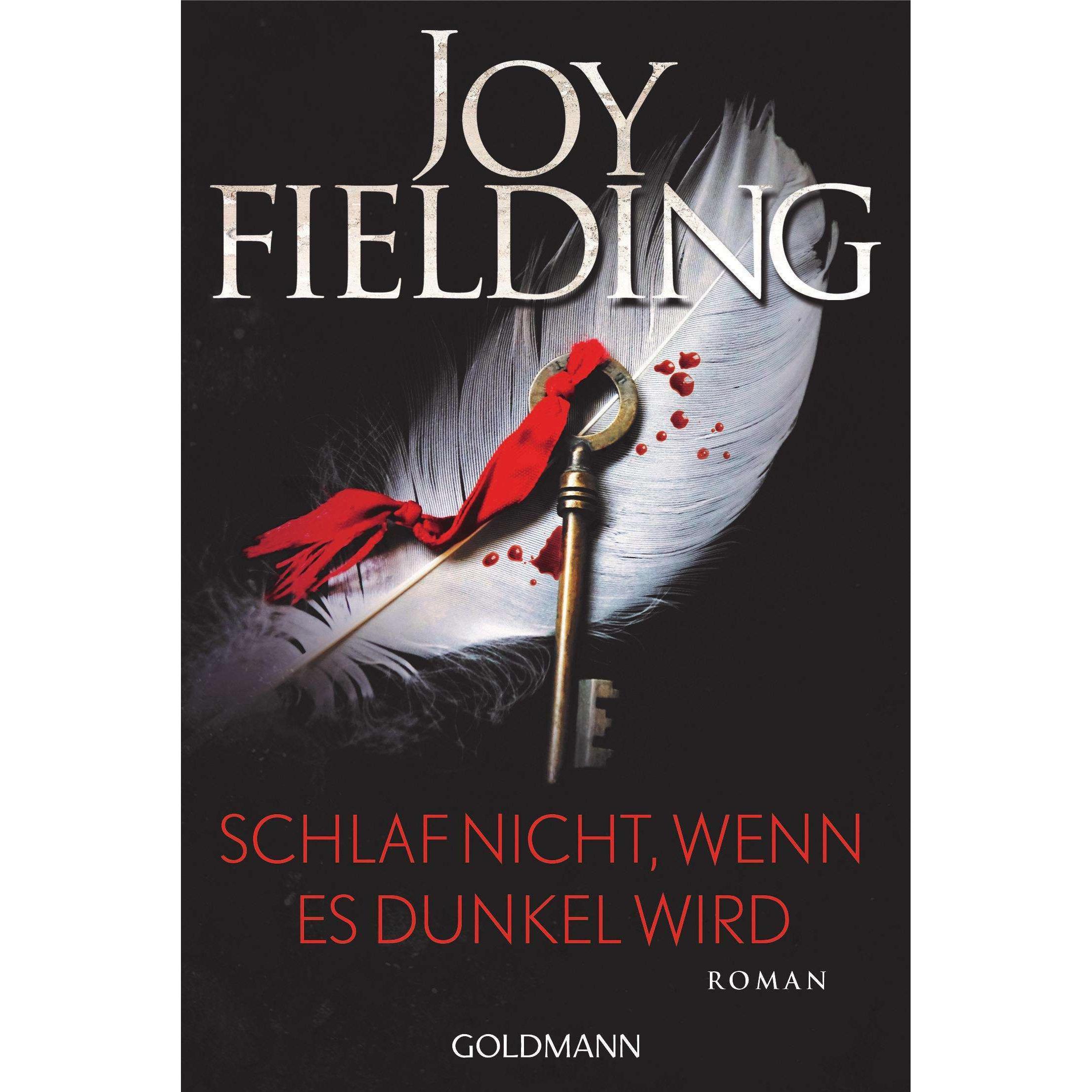Schlaf nicht, wenn es dunkel wird, Belletristik von Joy Fielding