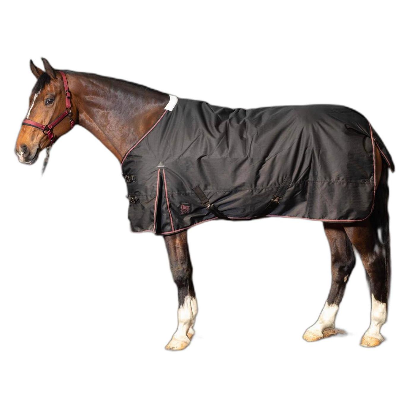 Harry's Horse, Pferdedecke, (195 cm)