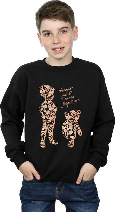 Actual product image Disney Boys Winnie The Pooh Promise You'll Never Forget Sweatshirt (128)