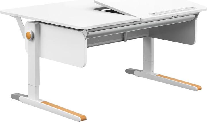 Produktbild Moll Champion