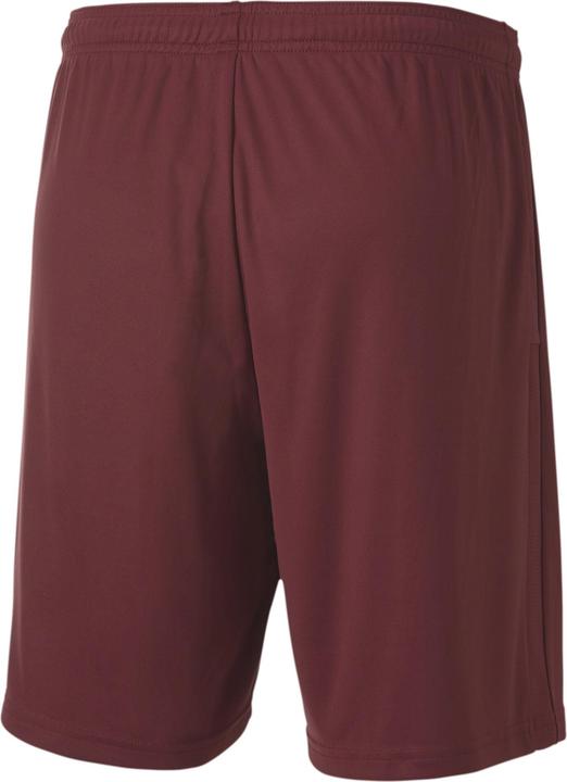 Produktbild Puma teamGOAL 23 knit Shorts-704262 (M)