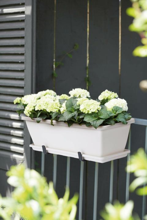 Produktbild Elho BarcelBalkKastUnte70cm weiss