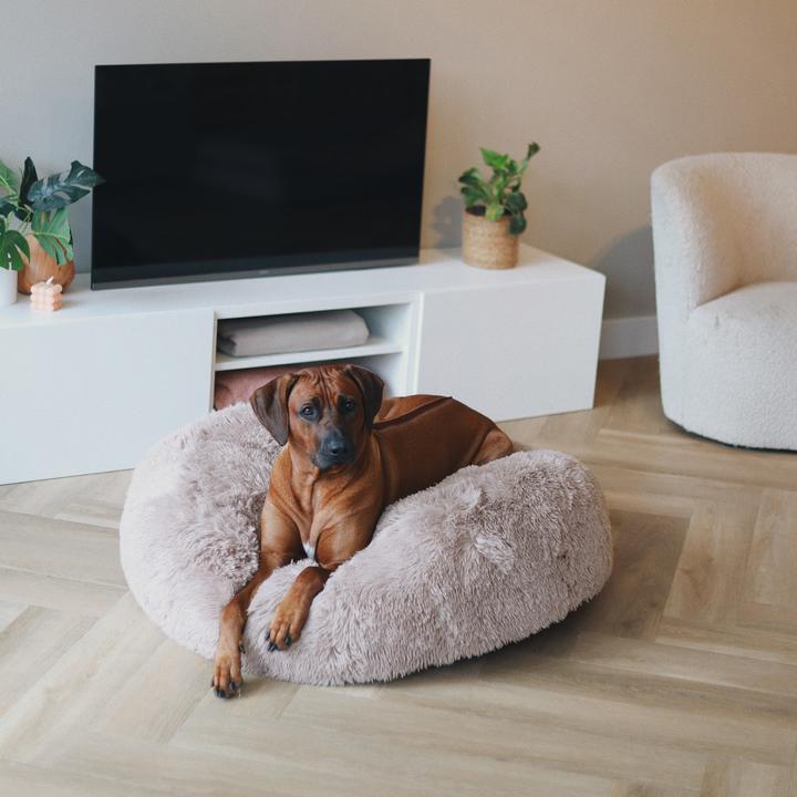 Image du produit District 70 Harwell 2.0 (Chien)