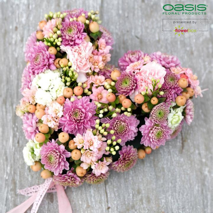 Produktbild Oasis BIOLIT Herzen