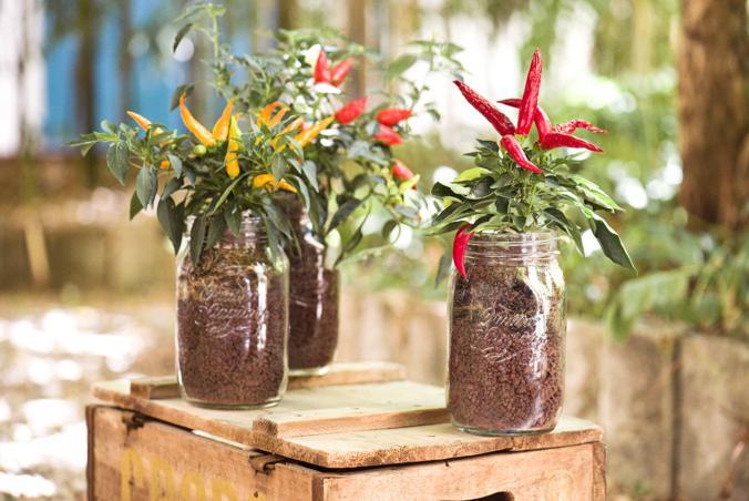 Image du produit Einkochwelt Pots de conserve (1 pcs, 1.50 l)