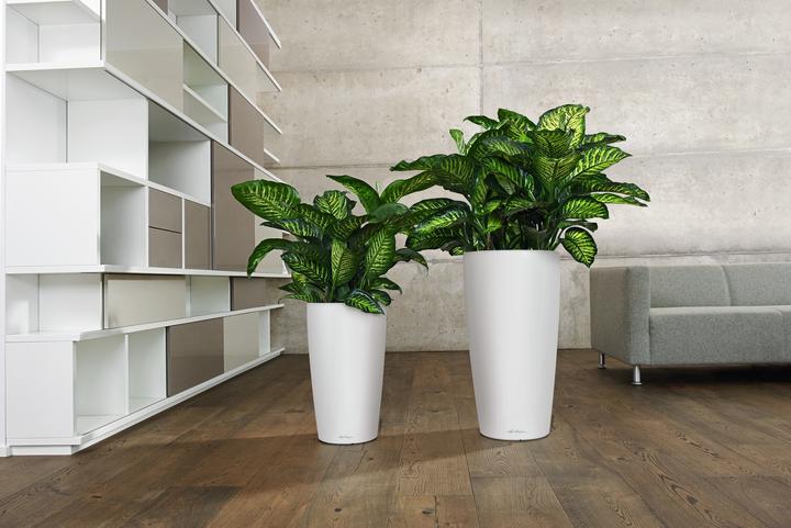 Image du produit Lechuza Rondo Premium (32.50 x 32.50 x 56.50 cm)