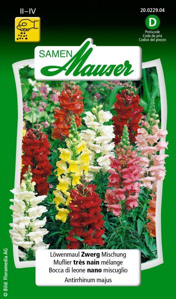 Actual product image Samen Mauser Snapdragon, dwarf mixture (Plant seeds)