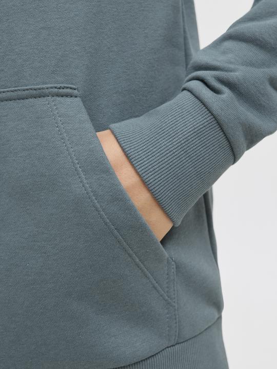 Produktbild Jack & Jones Jjecaleb Varsity Sweat Hood Noos Jnr (176)