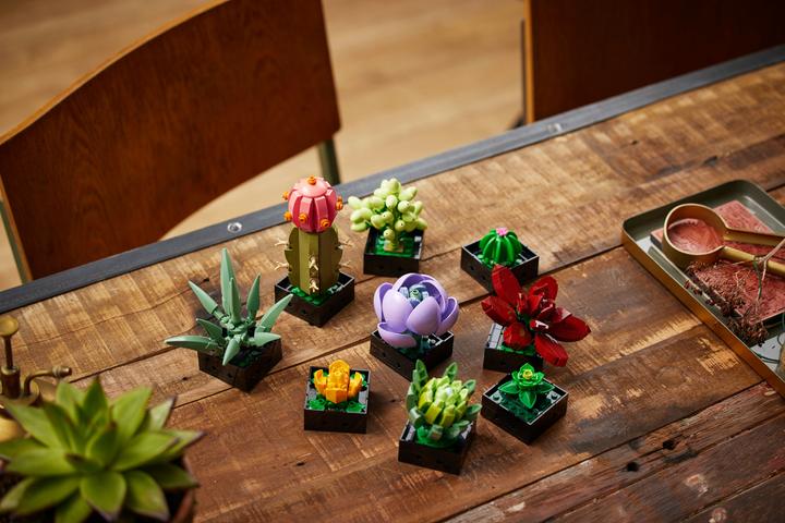 Image du produit LEGO Les succulentes (10309, LEGO Botanical, LEGO difficiles à trouver)