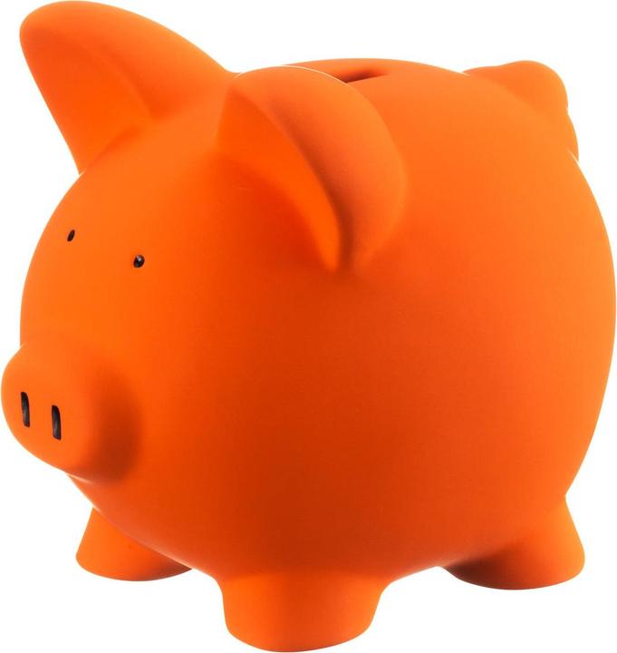 Produktbild micasa Sparschwein PIC