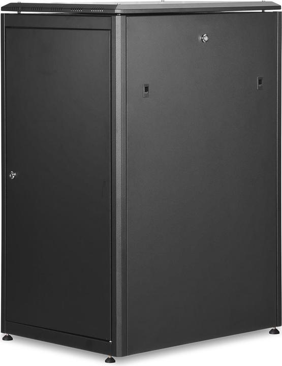 Digitus Armadio di rete Unico (22 HE, Rack da 19 pollici)