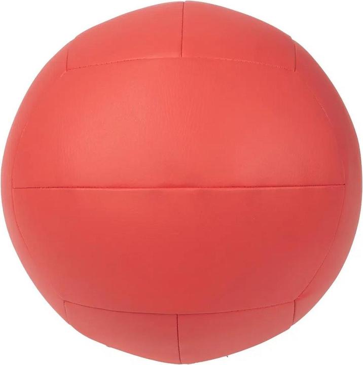 Productafbeelding Gladiatorfit Wandbal (9 kg, 350 mm)