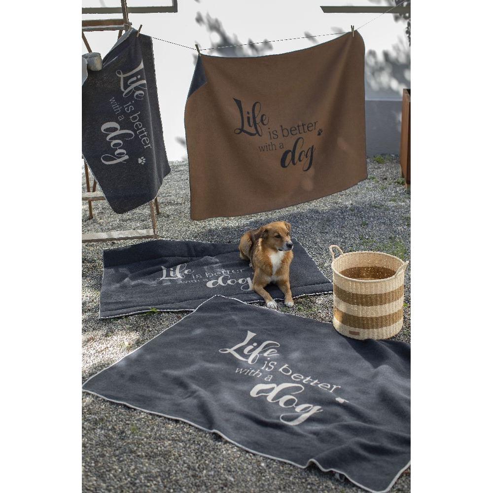 Thumbnail - David Fussenegger Fussenegger Haustierdecke "life is better" dog (Hund), Hundebett + Katzenbett