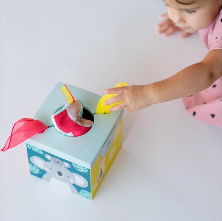 Image du produit Taf Toys Kimmy le Koala