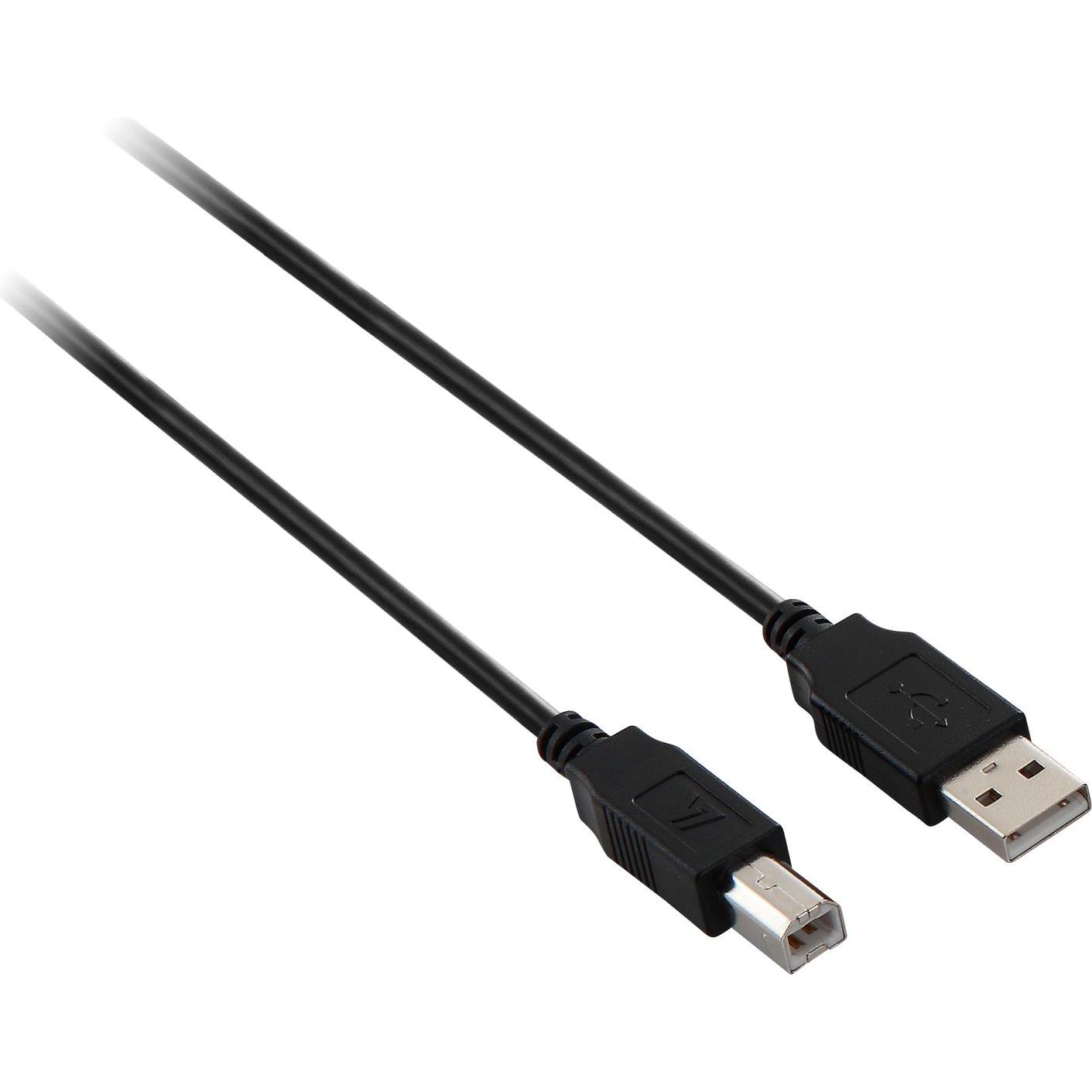V7 USB A – USB B (1.80 m, USB 2.0), Cavo USB