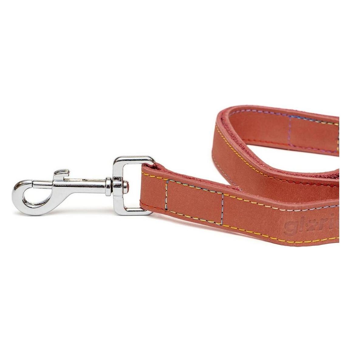 Laisse pour Chien Gloria Oasis 2.1 x 100 cm Rouge