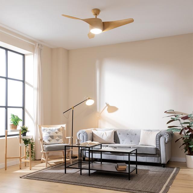 Actual product image Cecotec Ceiling Fan with Light EnergySilence Aero