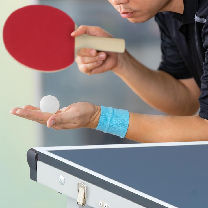 Immagine prodotto Relaxdays Tavolo ping-pong