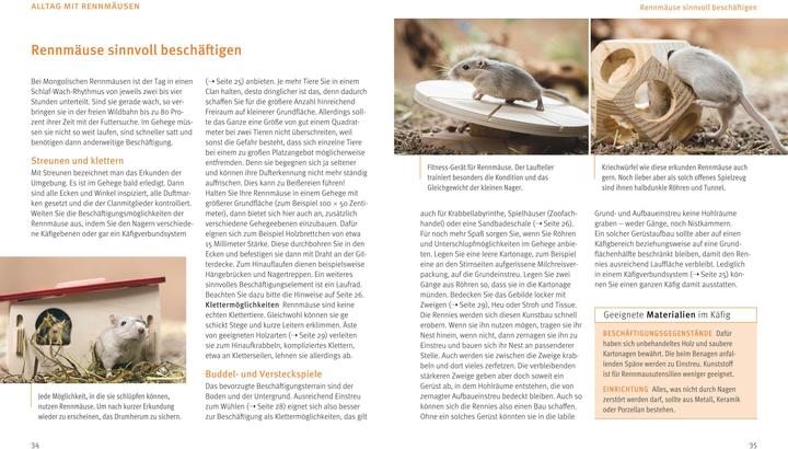 Actual product image Rennmäuse (German, Engelbert Kötter, 2015)