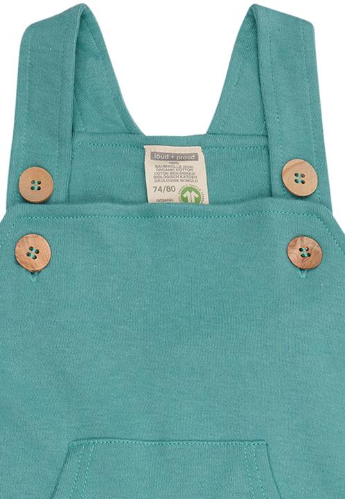 Actual product image loud + proud Dungarees (68)