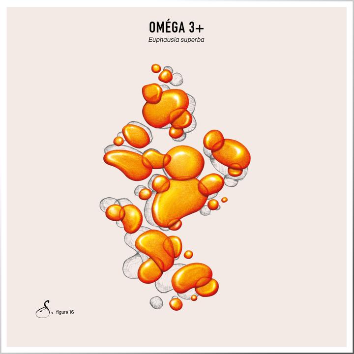 Immagine prodotto Sekoya Omega 3+ | DHA & EPA (90 pz., Pillole)