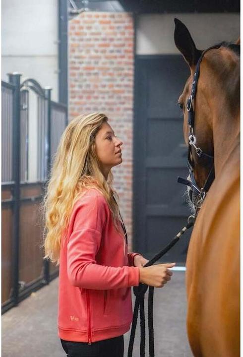 Actual product image Horse Pilot Team (XS)